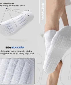 Tất vớ cotton nam 3 chiều cao hàng cao cấp, phong cách Hàn Quốc