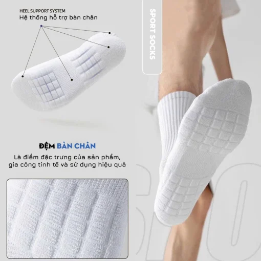 Tất vớ cotton nam 3 chiều cao hàng cao cấp, phong cách Hàn Quốc