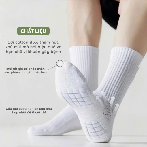 Tất vớ cotton nam 3 chiều cao hàng cao cấp, phong cách Hàn Quốc